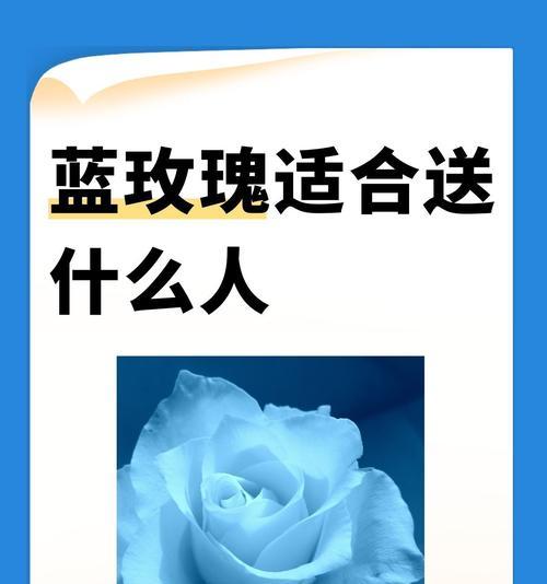 蓝百合玫瑰花语有哪些含义？2朵玫瑰花两杯茶又代表什么？