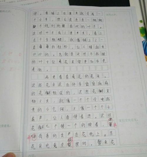 写菊花不少于三百字的作文