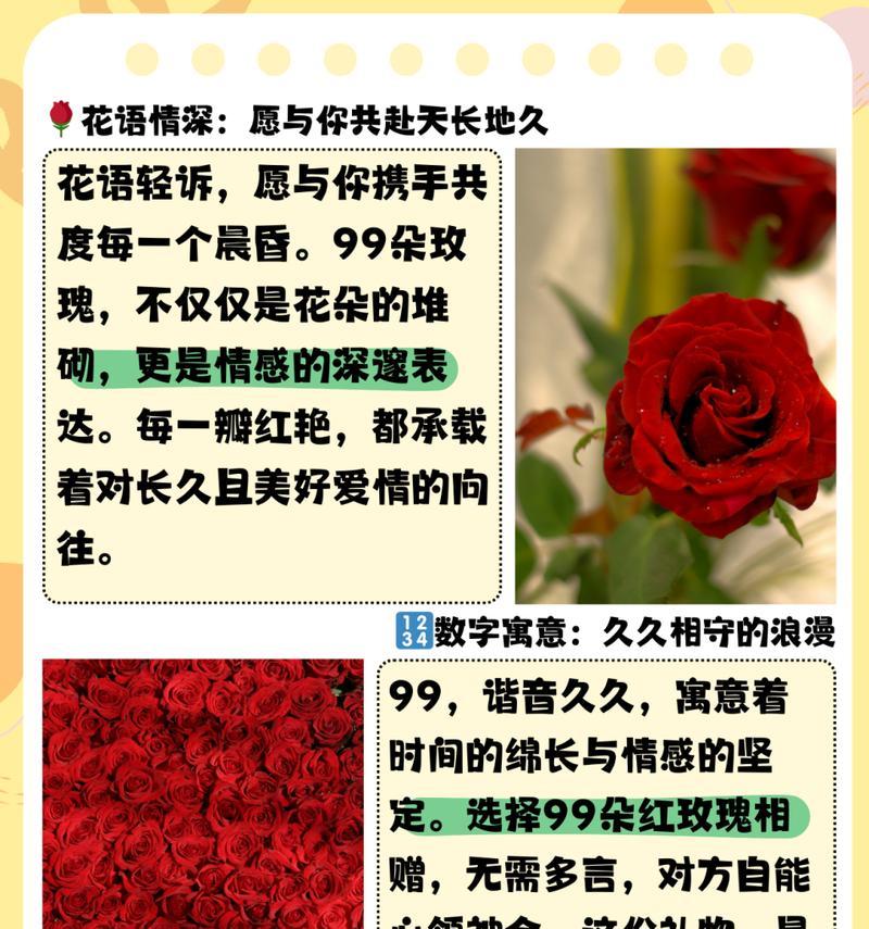 231朵玫瑰花的花语是什么？送231朵玫瑰花有何特殊含义？