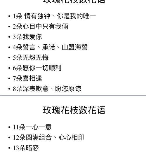 239朵玫瑰花的含义是什么？网络用语怎么读？