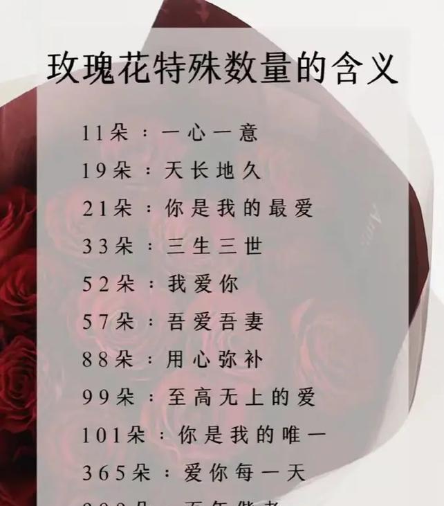 1427朵玫瑰花的含义是什么？送这么多玫瑰花有何特殊意义？