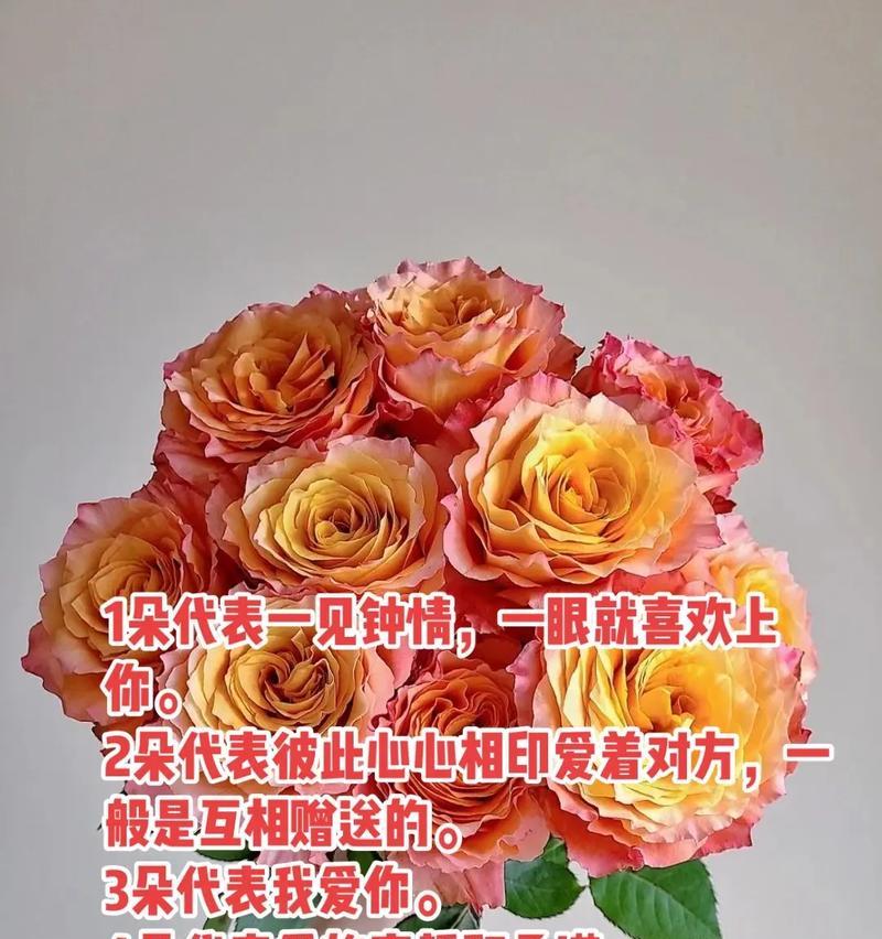 19朵粉玫瑰的花语是什么？