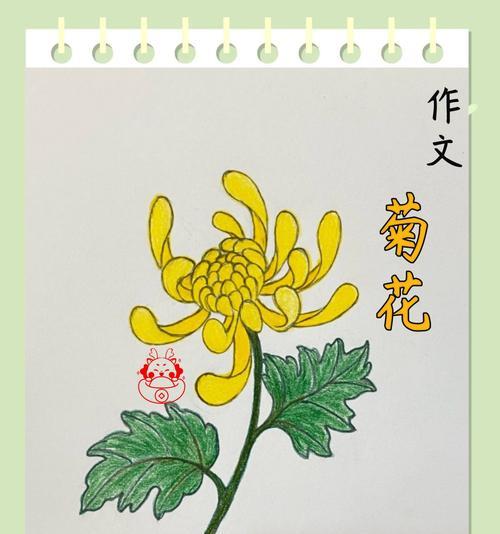 三年级下册如何描写菊花？