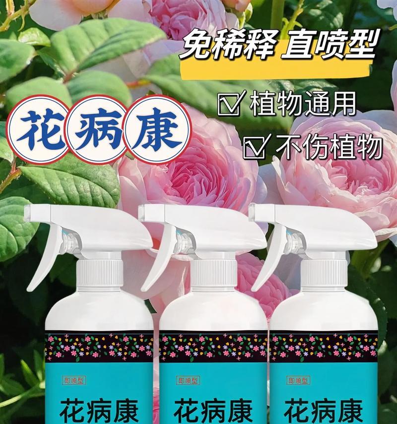 家庭园艺中哪些植物适合撒种？