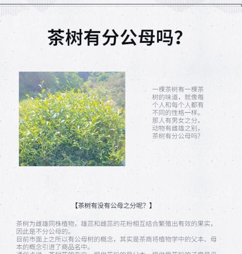 雌雄同株的植物有哪些？它们有何特点？