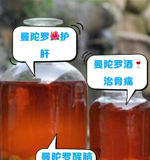 植物泡和植物泡酒什么意思？植物泡酒的制作与功效？