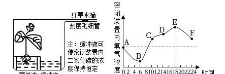 如何正确照射植物以反蓝光？有哪些具体方法？