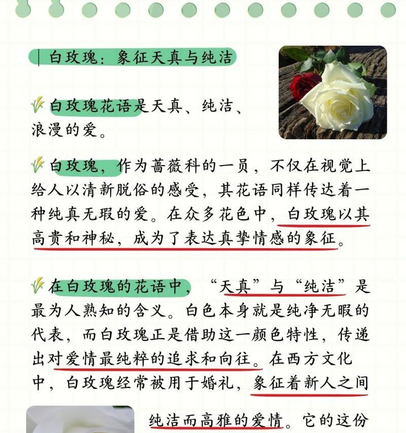 32朵破冰白玫瑰的含义是什么？它在社交场合中传达了哪些信息？