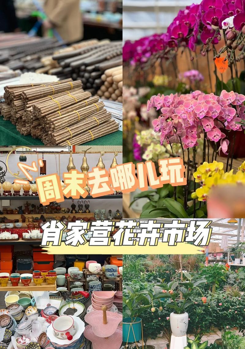 韩家墅附近花卉市场的选择有哪些？