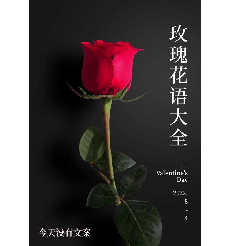 玫瑰花的花语有哪些含义？朋友送的玫瑰代表什么？