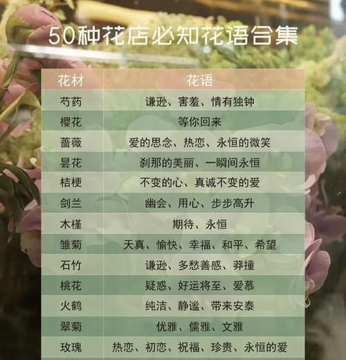 花卉的花语通常有哪些？它们各自代表什么情感或信息？