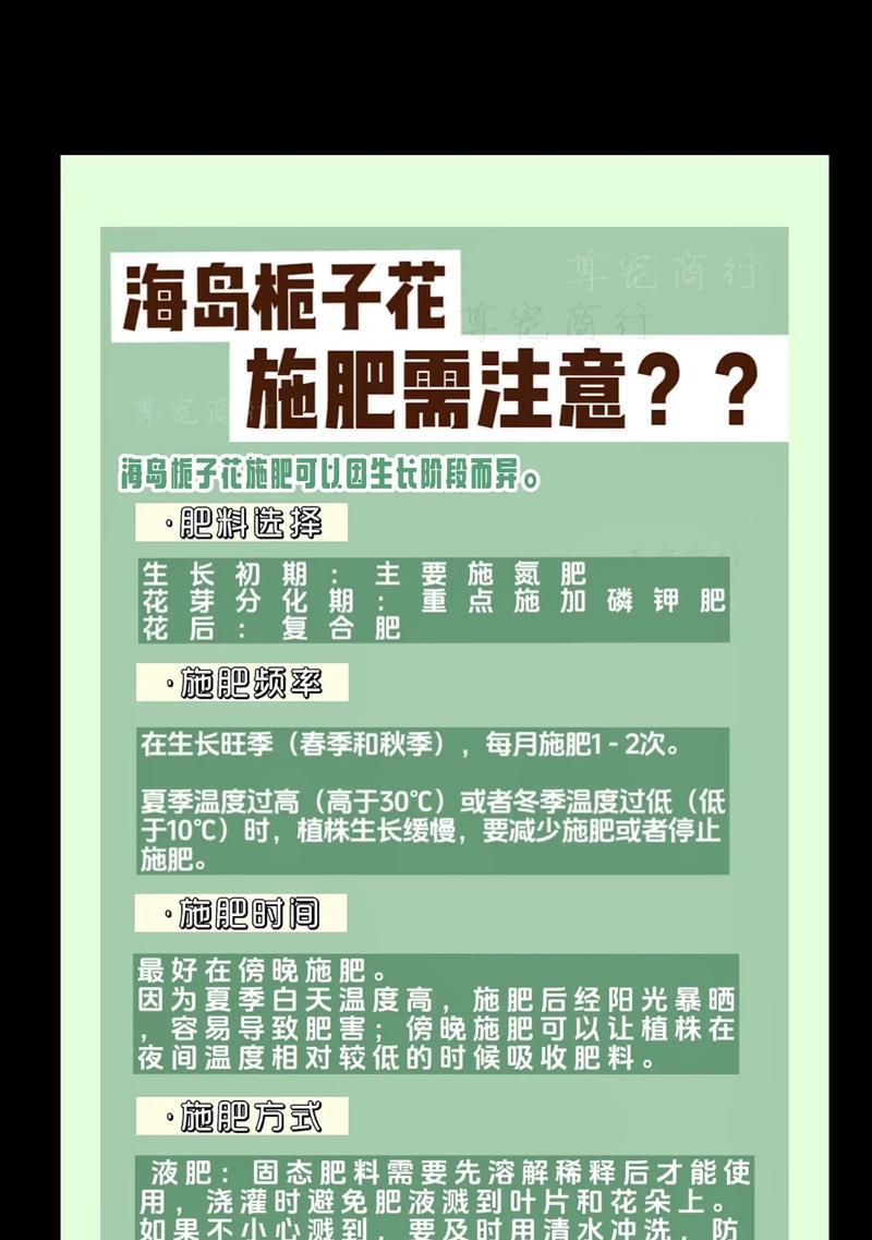 兰科花卉需要哪些肥料？如何正确施肥？