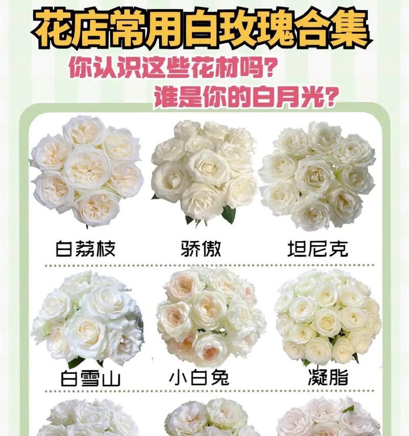 兰草花与白玫瑰的搭配含义是什么？不懂兰草花的花语解读？