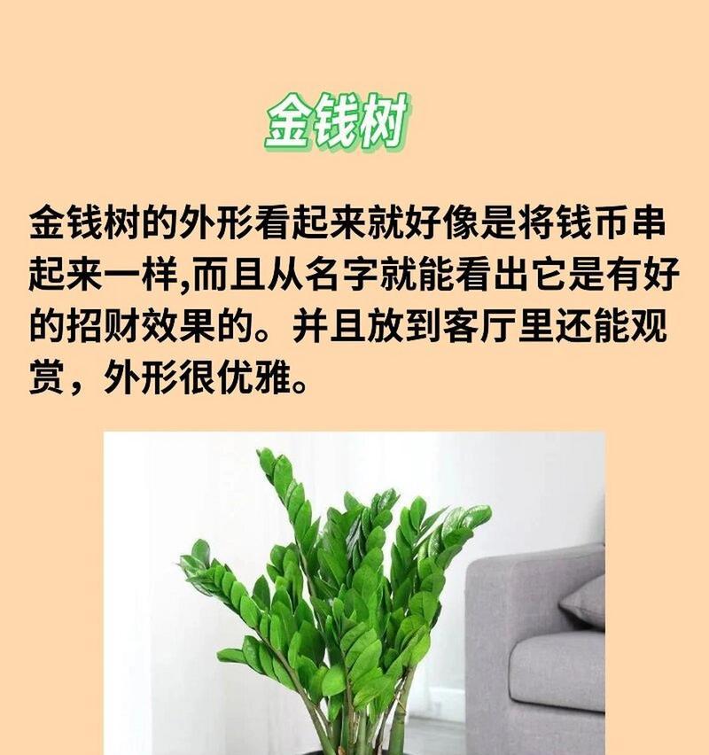 哪些植物可以带来财运？风水中哪些植物象征财富？