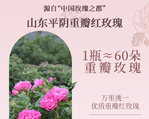 玫瑰花团购是什么意思？团购玫瑰花通常有哪些优惠？