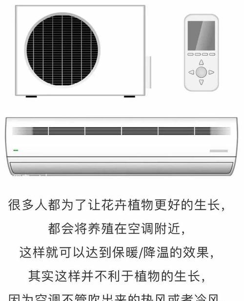 空调间里怎么养花草植物？有哪些注意事项？