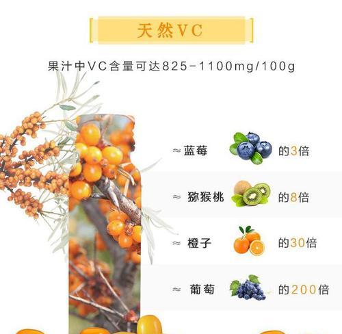 如何撰写一份优质的沙棘树种植简报？沙棘树种植简报包含哪些要点？