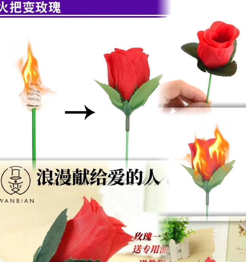 魔术中变出的玫瑰花不同颜色代表什么？每种颜色有何特殊含义？