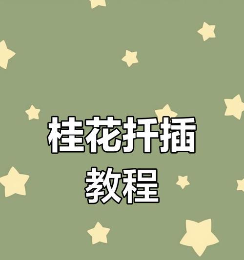 桂花水培养护技巧有哪些？如何保持桂花水培健康？