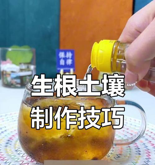 植物生根慢如何补救？有哪些方法可以促进植物生根？