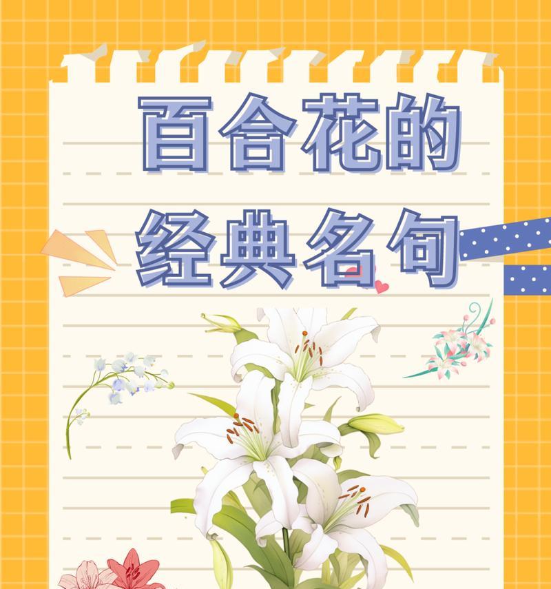 女生送一支百合花有何含义？百合花作为礼物有何象征意义？