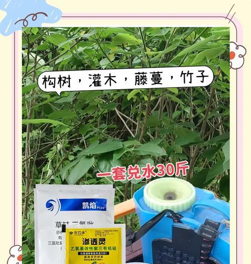 乡下常见哪些植物可作为水草肥料？如何使用？