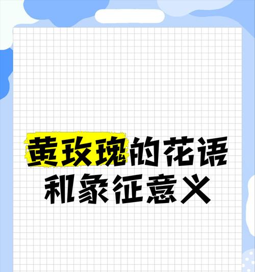 19朵黄玫瑰的花语是什么？这个数量的黄玫瑰有何特别含义？