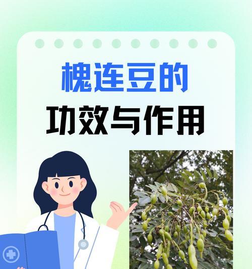 哪些植物具有清热解毒的功效？如何正确使用它们？