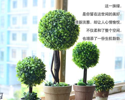 假花摆放有何寓意？它们在室内装饰中的作用是什么？