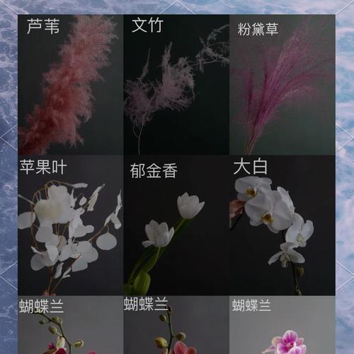 永生花的花语是什么？它象征着什么样的永恒？