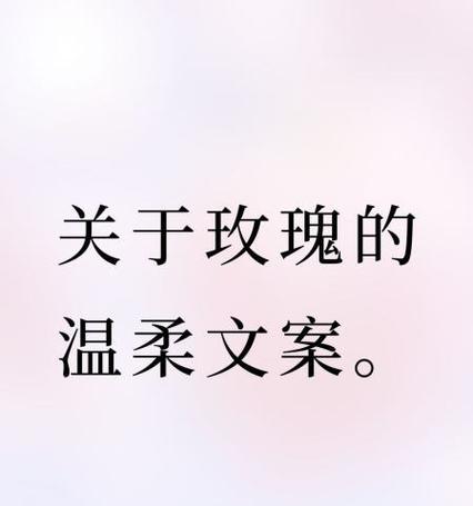 玫瑰花改名也芳香如故是什么含义？