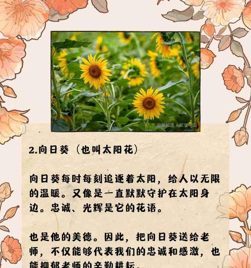 什么花语代表早日康复？什么花语可以表达康复的祝愿？