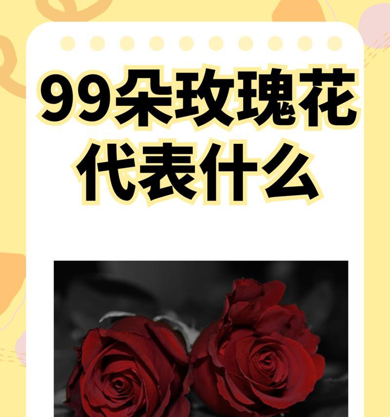 碎片玫瑰花的象征意义是什么？碎片玫瑰花在花语中代表什么？