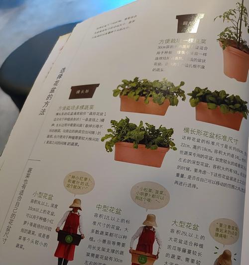 采薇是什么植物？采薇的植物学特性和文化意义是什么？