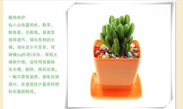 多久浇一次冷水对植物有害？浇冷水后植物会有什么反应？