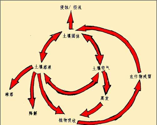 非农药增白剂的作用是什么？它对环境有何影响？