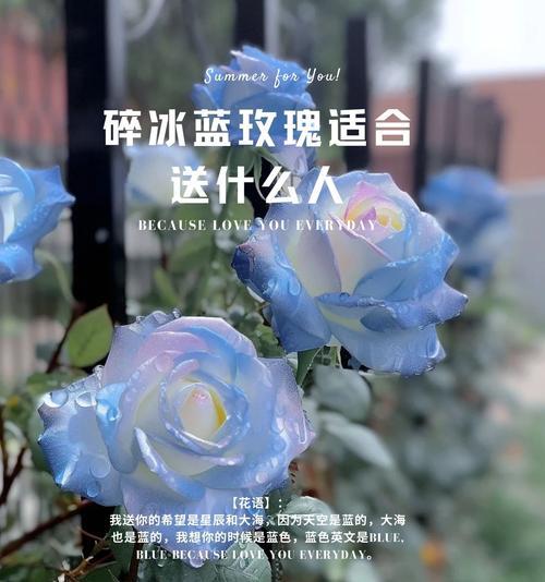 花语的定义是什么？花语通常表达什么？