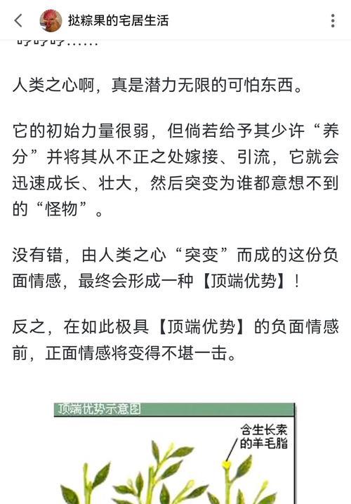 哪些植物表现出明显的顶端优势？顶端优势对植物生长有何影响？