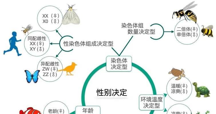 怎么分辨植物性别？不同植物性别的特征是什么？