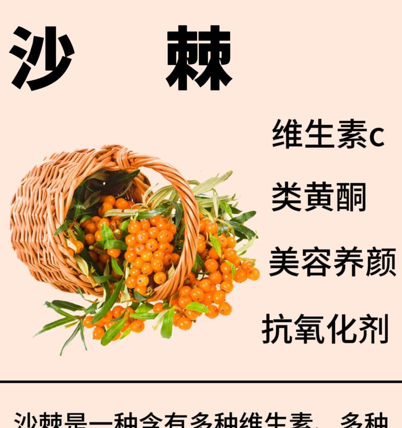 沙棘植物有哪些特性？沙棘在园艺中的应用是什么？