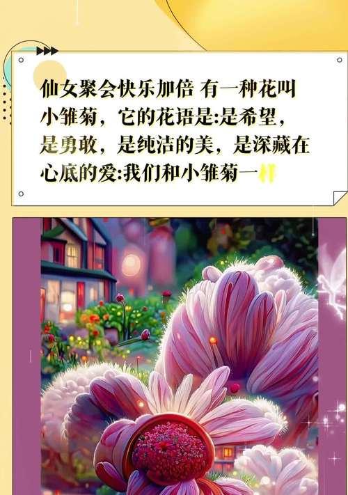 雏菊的花语有哪些寓意？