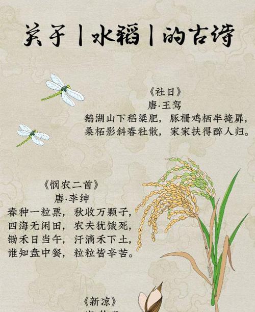 孟津为什么种植水稻呢现在？水稻种植对当地经济有何影响？