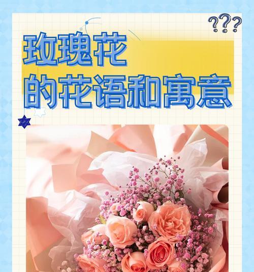 “玫瑰花百禄为宜”是什么意思？这句话出自哪里，有何含义？