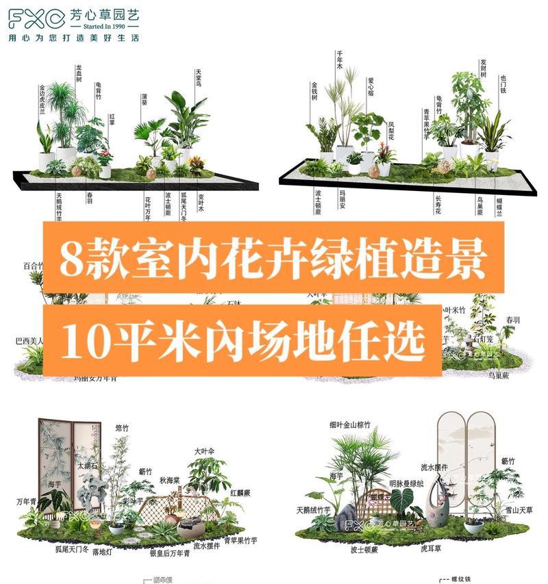 花卉绿植需要哪些生长环境？如何营造适宜的环境？