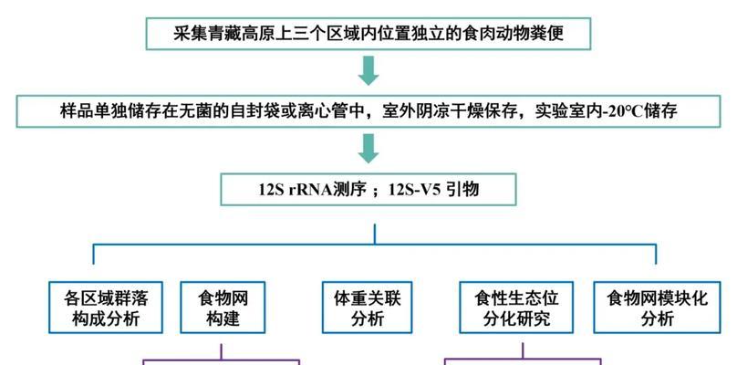 植物链是什么意思？在生态系统中扮演什么角色？