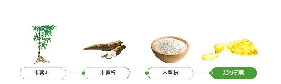 植物胶型胶囊有哪些种类？它们有何特点？