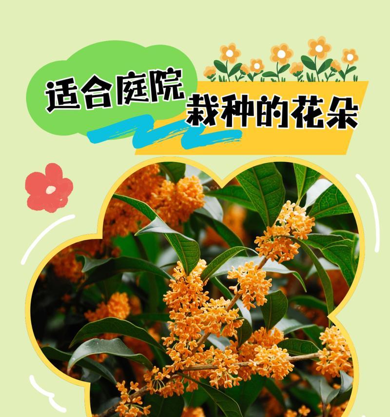 寓意好庭院花卉的名字有哪些？哪些花卉适合种植在庭院中？