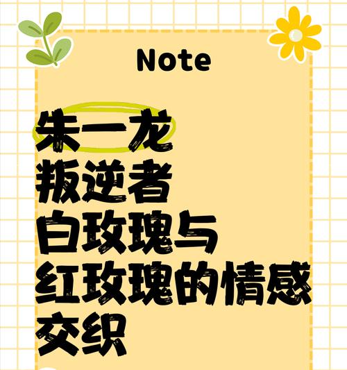 白玫瑰与红玫瑰各自代表什么？它们的含义有何不同？