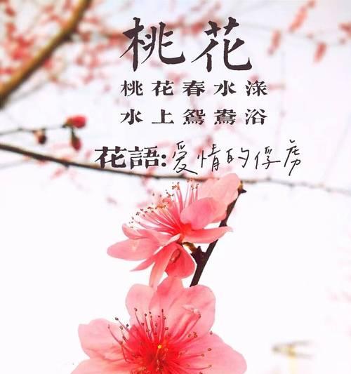 月亮加桃花寓意什么？月亮和桃花的寓意是什么？