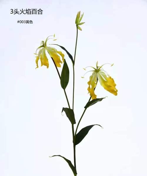 百合单枝假花养护需要注意什么？